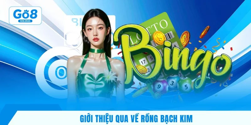 Giới thiệu qua về rồng bạch kim