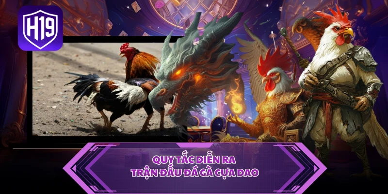 Quy tắc diễn ra trận đấu đá gà cựa dao